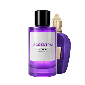 ACCENTRA reference image